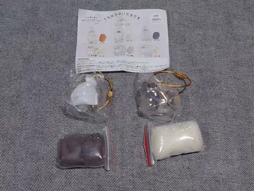 우리 집 털뭉치 하치와레 삼색 고양이