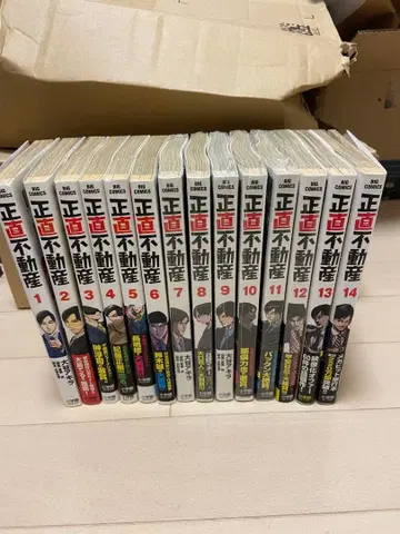 정직 부동산 전 14권 세트