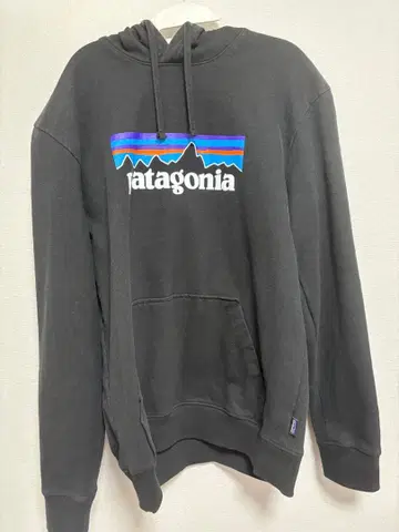 patagonia 후드 부착 후드티 블랙