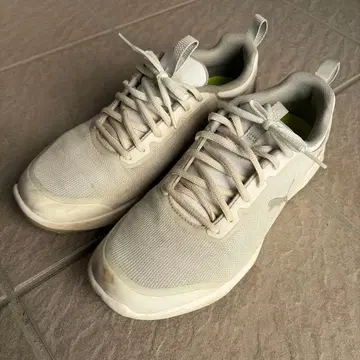 Puma 골프화 라이트 그레이