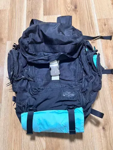 Nike sb eugene 백팩