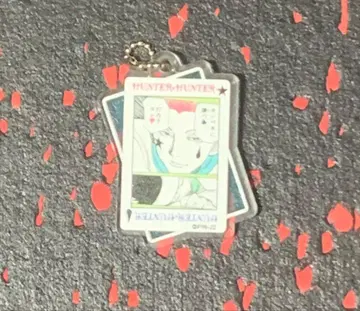 [토가시전] HUNTER x HUNTER 히소카 아크릴 참