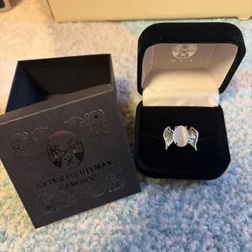 가정교사 히트맨 REBORN! 마레의 반지