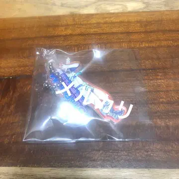 호시쿠 메이 스타덤 오로라 트윈 아크릴 키링 타워 레코드 아크릴 키링