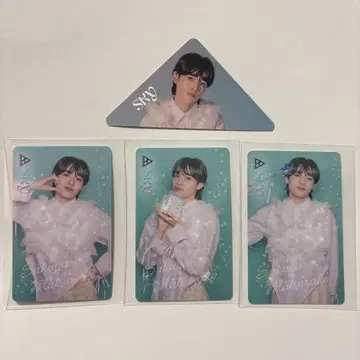 마츠자키 사쿠야 엠카드