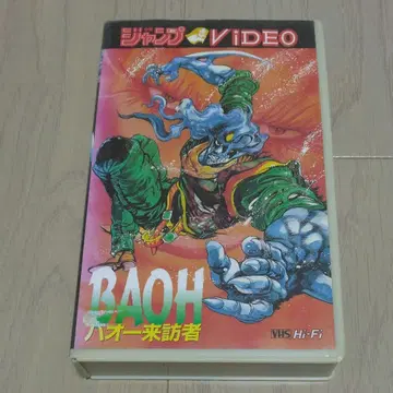 VHS 비디오 테이프 [ 바오 방문자 ]