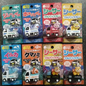 오키나와 시사 흰동가리 고래상어 돌고래 귀상어 풀백카