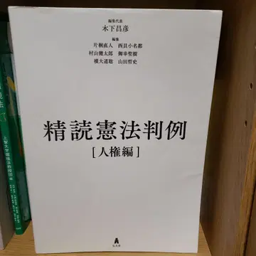 정독 헌법 판례 인권 편