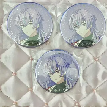 니지산지 호시미치 쇼 히로시마 공연 캔뱃지