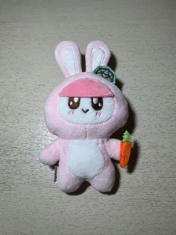 SEVENTEEN 세븐틴 본봉이 토끼