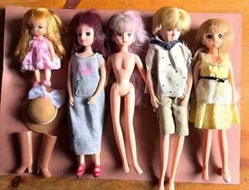 리카짱 묶음 판매 본체