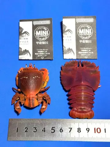 생물대도감 미니 컬렉션 아사히가니 우치와에비