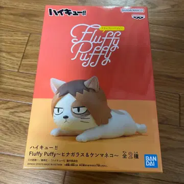하이큐!! Fluffy Puffy 켄마 고양이