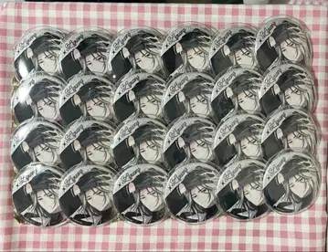 에이트리 사슴례빛 spoon 캔뱃지 24개