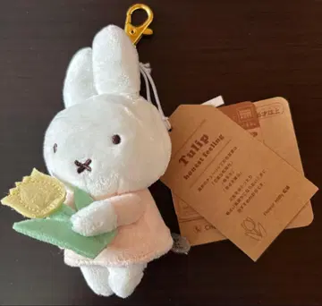 브루나 춋코리 산큐 마스코트 미피 옐로우 컬러 튤립