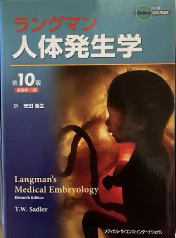 랑그만 인체 발생학