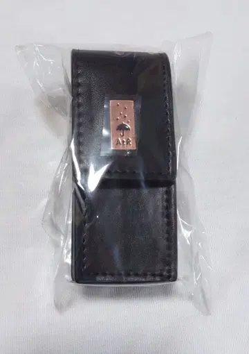 After the Rain 립 케이스