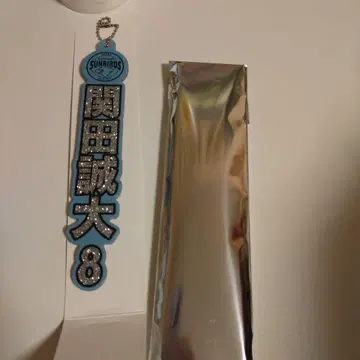 산토리 선버즈 세키타 마사히로 네임 키링