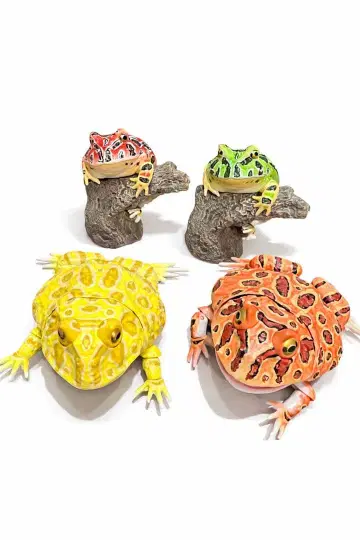 생물대도감 뿔개구리 2점과 손가락말이 컬렉션 2점