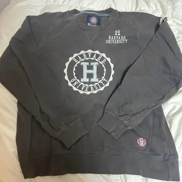 챔피언 하버드 대학 맨투맨 트레이닝복 XL