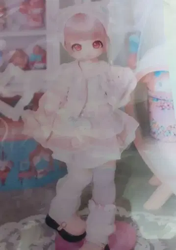 MDD 아웃핏 의류