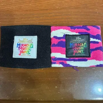 20주년 기념 미라클 뮤직 헌트 GLAY