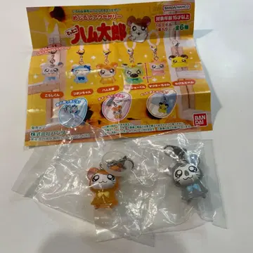 햇살이 가득! 방가방가 햄토리 메지루시 액세서리 2개 세트