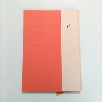 [ 익명 배송 ] 희소성 있는 오야마의 여우 이리스이 소토