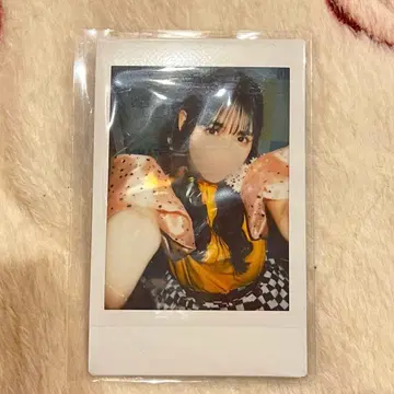 진세이 스즈카 신규 촬영 폴라로이드