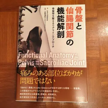 골반과 천장 관절의 기능 해부학 골반대를 정돈하는 리얼라인 접근법