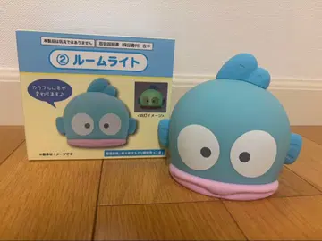 한교동 제일복권 룸 라이트