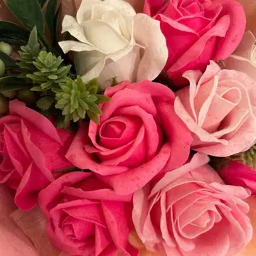 하루키타 프리마베라의