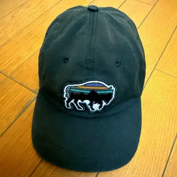 patagonia 파타고니아 바이슨 캡