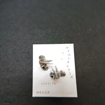 트리케라톱스 귀걸이 사이언스 시리즈