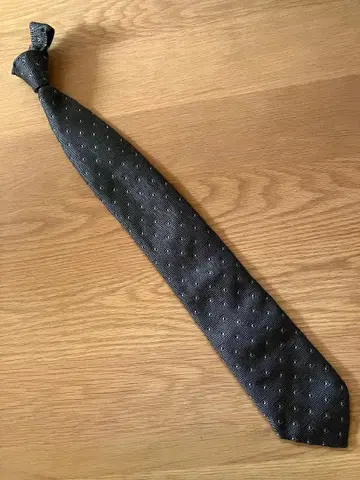 Ermenegildo Zegna 넥타이 26 XXX Couture