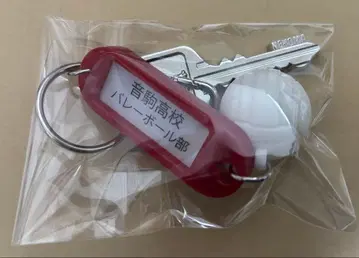 하이큐 열쇠고리 참 네코마 고교