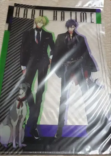 츠키우타. 하라주쿠 오리지널 샵 피에코로 A4 클리어 파일 하지 하루