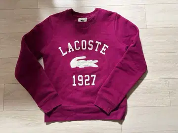 LACOSTE 맨투맨 트레이닝복