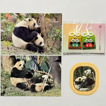 샤오샤오 & 레이레이 행복 지킴이 엽서 자이언트 팬더 우에노 동물원 2