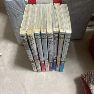 IS(인피니트 스트라토스) 전권