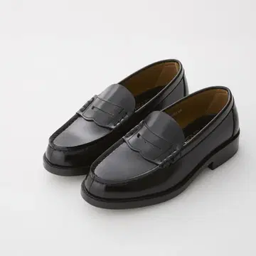 HARUTA 코인 로퍼