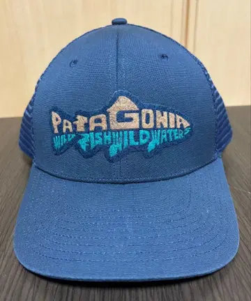 파타고니아 캡