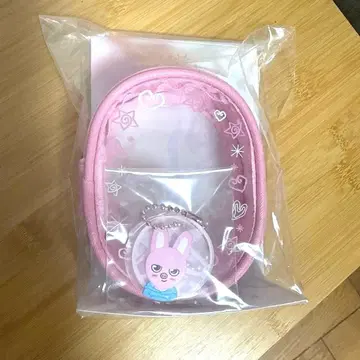 straykids 창빈 CLEAR POUCH