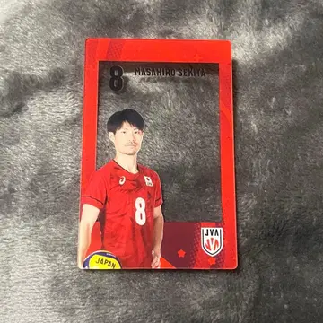 남자 배구 세키타 마사히로 클리어 카드