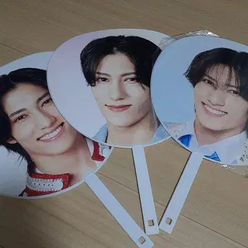 바사이 에가 와타루 부채 3개 세트