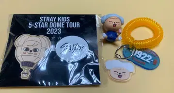 STRAY KIDS 5-STAR DOME TOUR 2023 퍼핌
