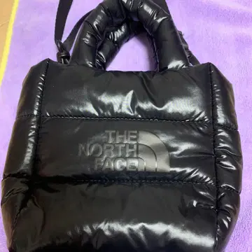 THE NORTH FACE 블랙 숄더백
