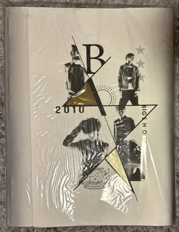 2010 BIGBANG BIGSHOW 팜플렛