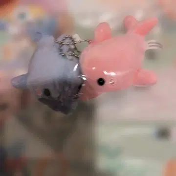 바다의 시작 돌고래 마스코트 메구로 렌 참