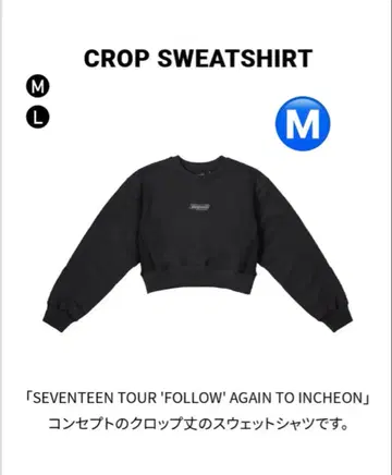 SEVENTEEN [FOLLOW AGAIN] CROP SWEATSHIRT